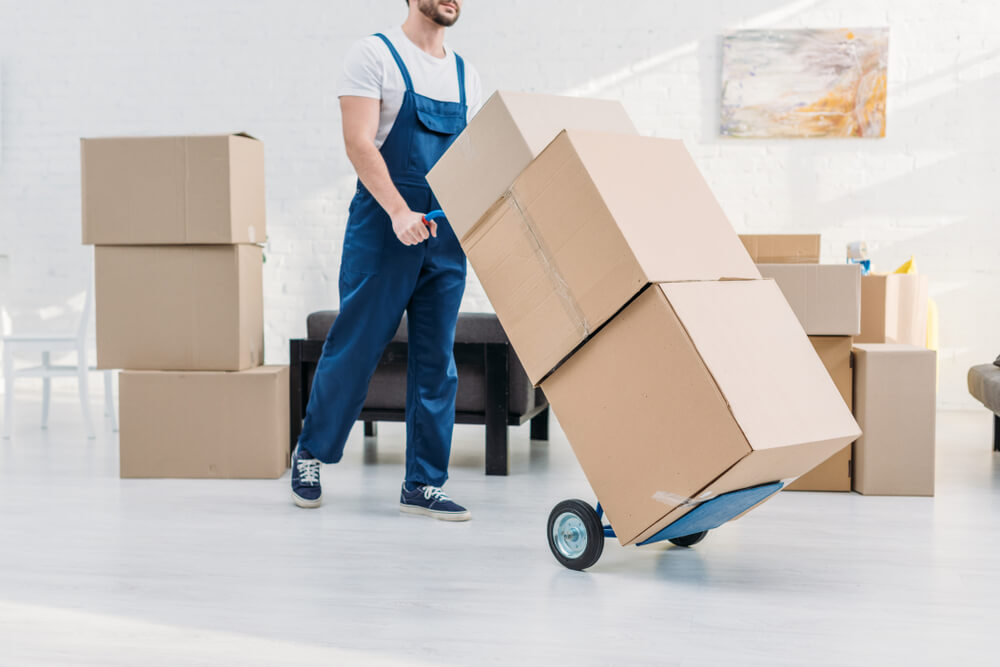 Professional Moving Services